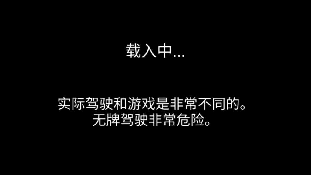 3D驾驶课2截图