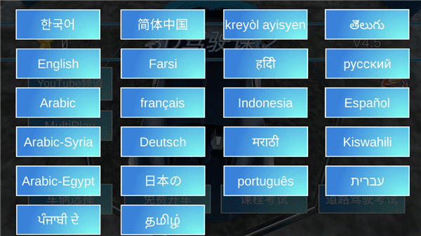 3D驾驶课2截图