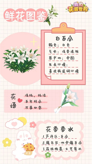 我的花园世界截图