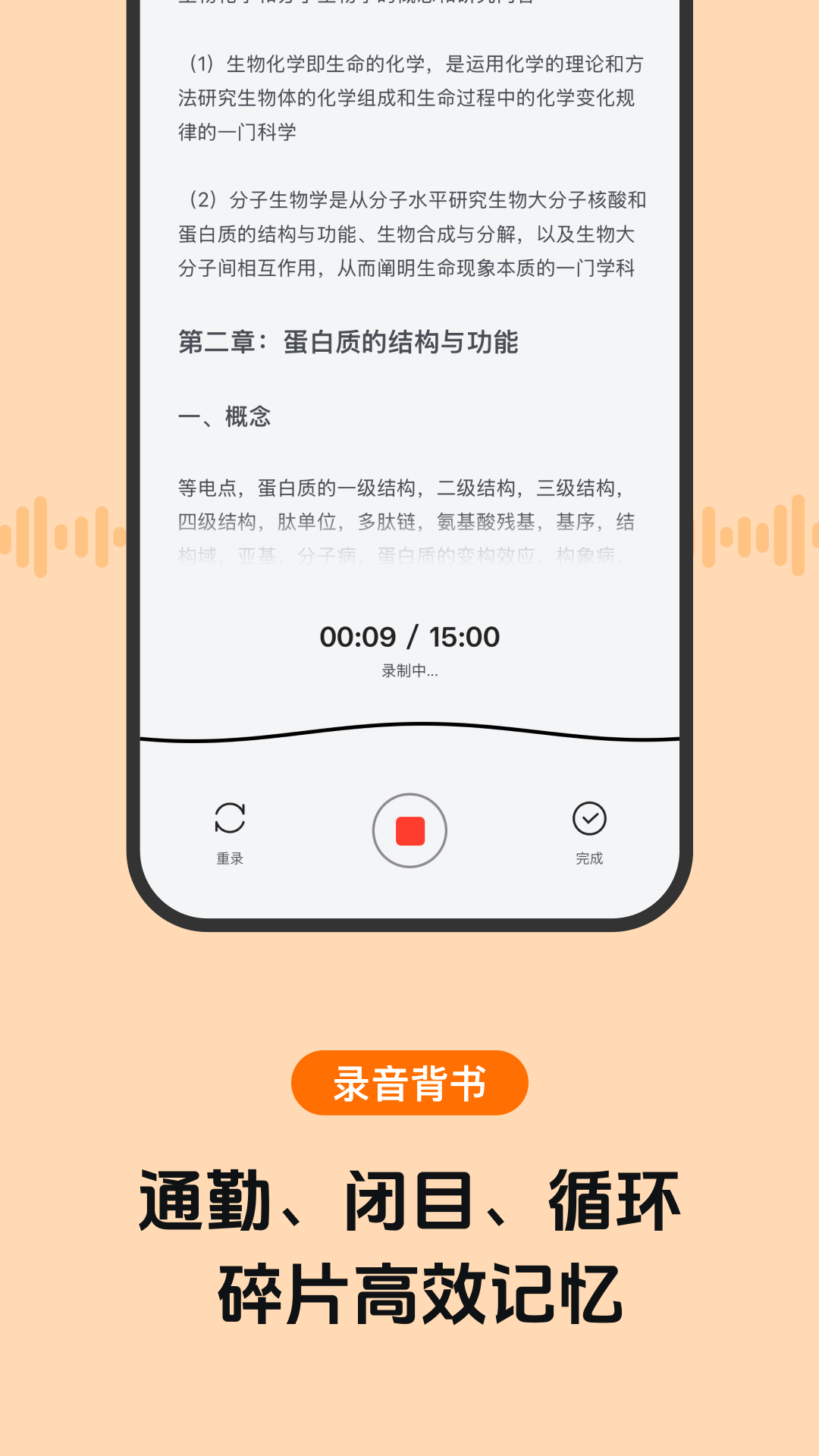 背书匠