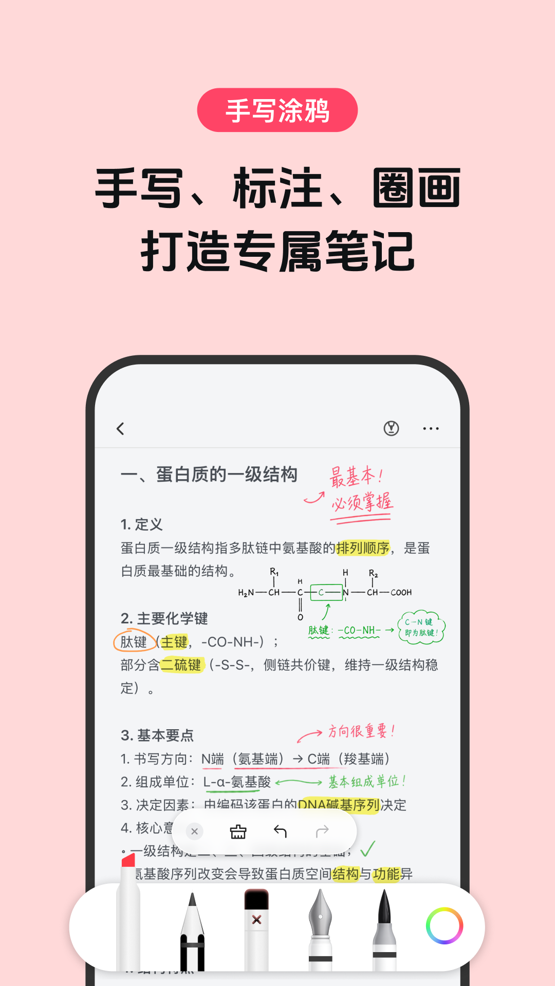 背书匠
