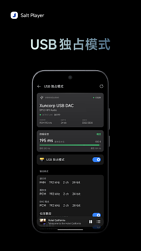 Salt Player电脑版截图0