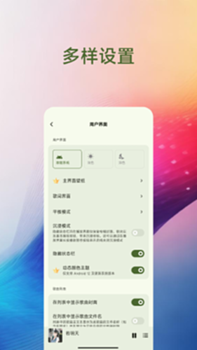 Salt Player电脑版截图3