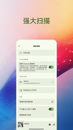 Salt Player电脑版截图4