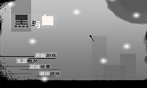 黑与白截图0