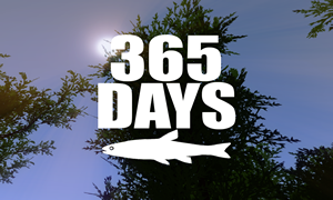 365天截图0