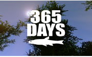 365天段首LOGO