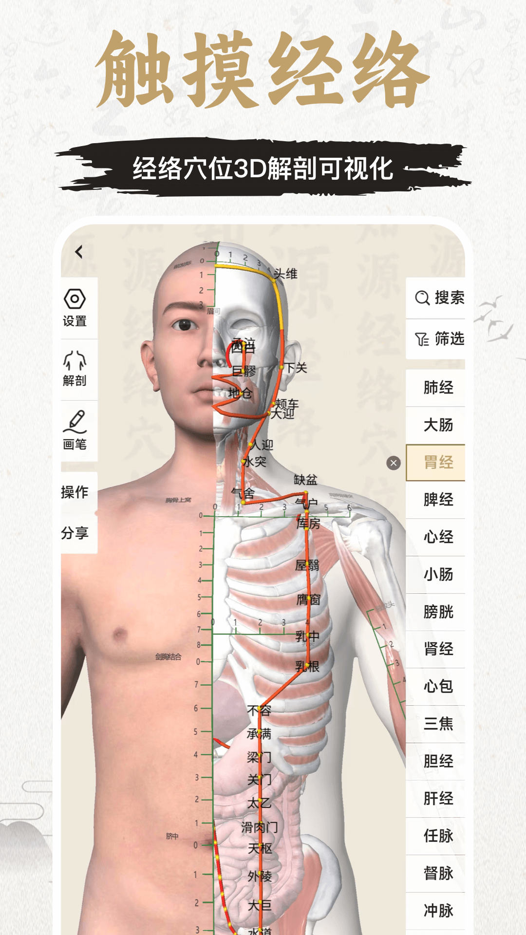中济经络穴位